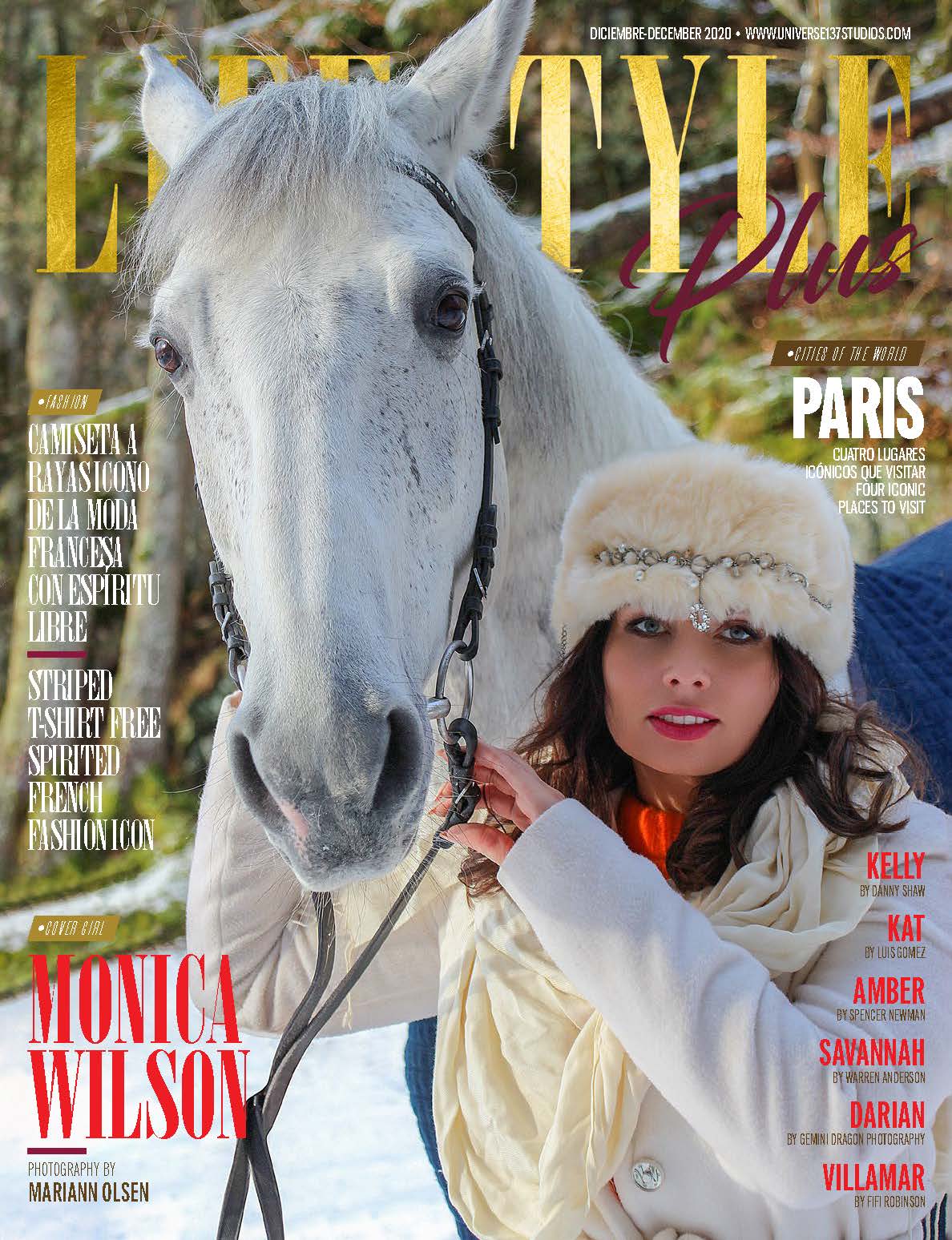 Lifestyle Plus Magazine - December 2020 download Lifestyle Plus Magazine – December 2020 download