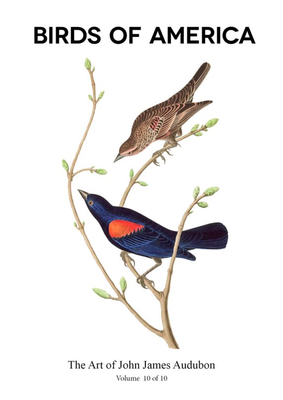 The Birds of America - John James Audubon - Volume 10 of 10 The Birds of America – John James Audubon – Volume 10 of 10