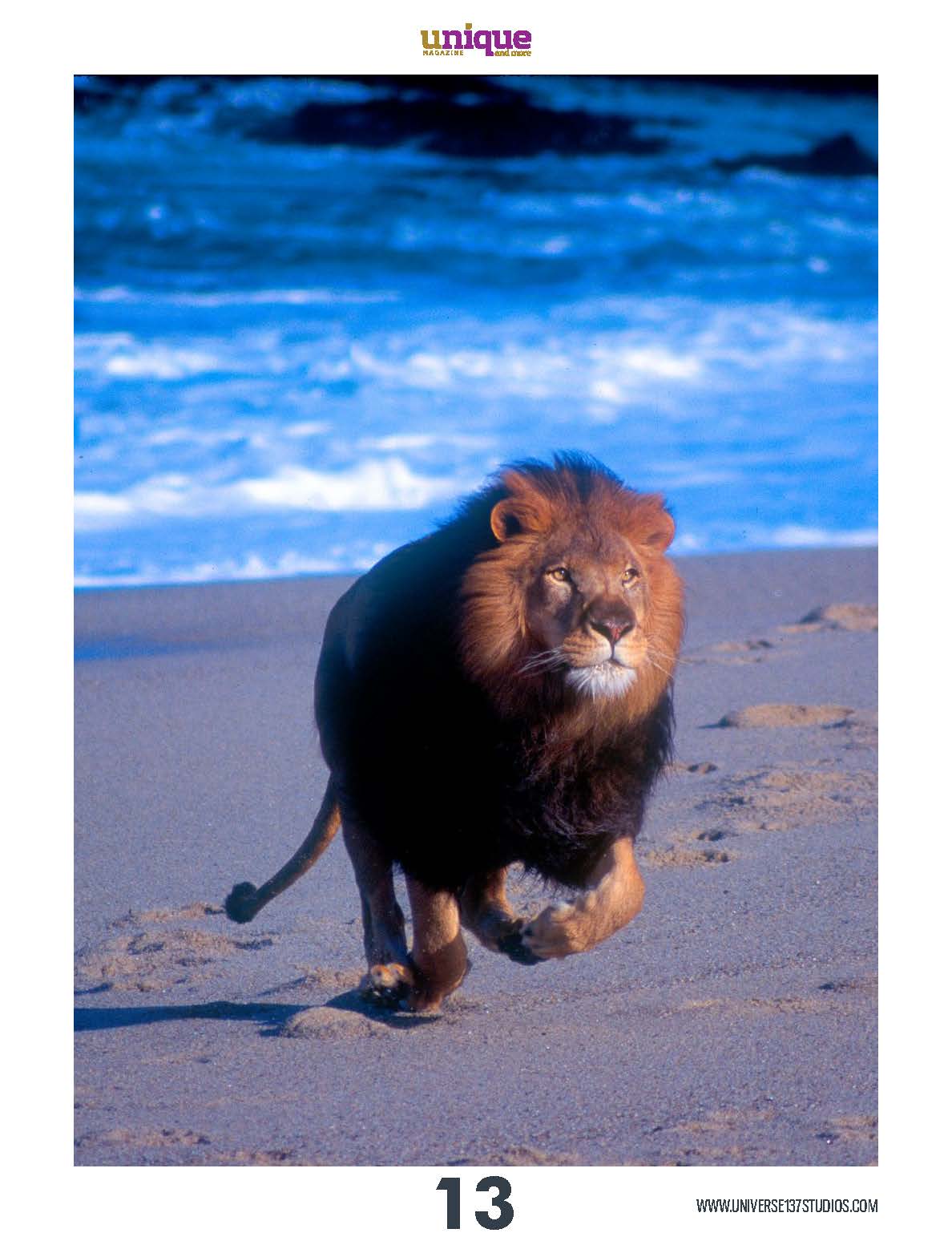 Unique Magazine - September 2021 - Wild Life 2