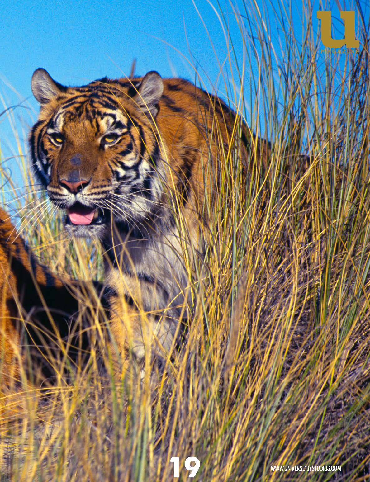 Unique Magazine - June 2021 - Wild Life