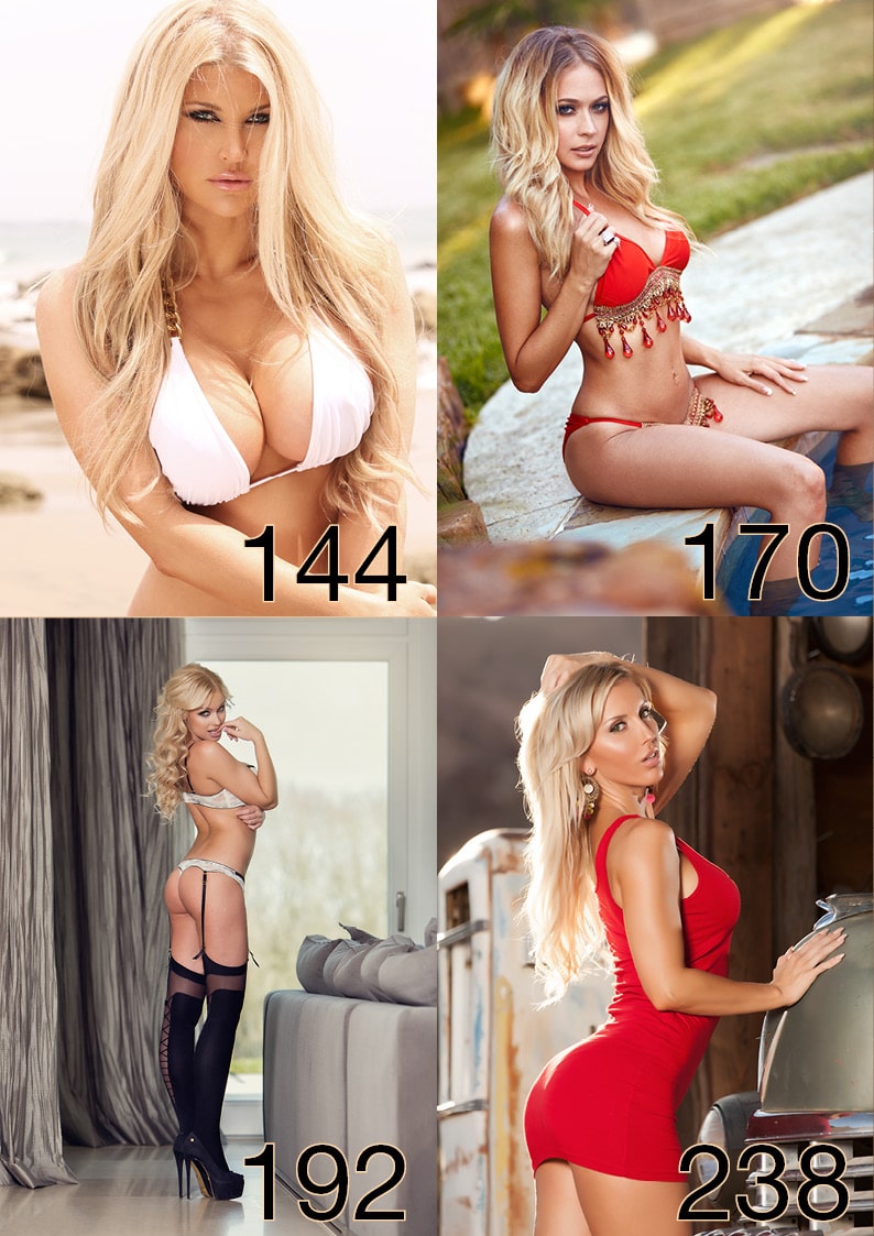 Vanquish Magazine - Gorgeous Blondes 2016 - Exclusive Book