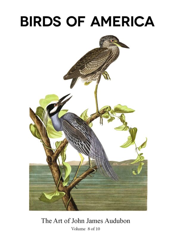 The Birds of America – John James Audubon – Volume 8 of 10 