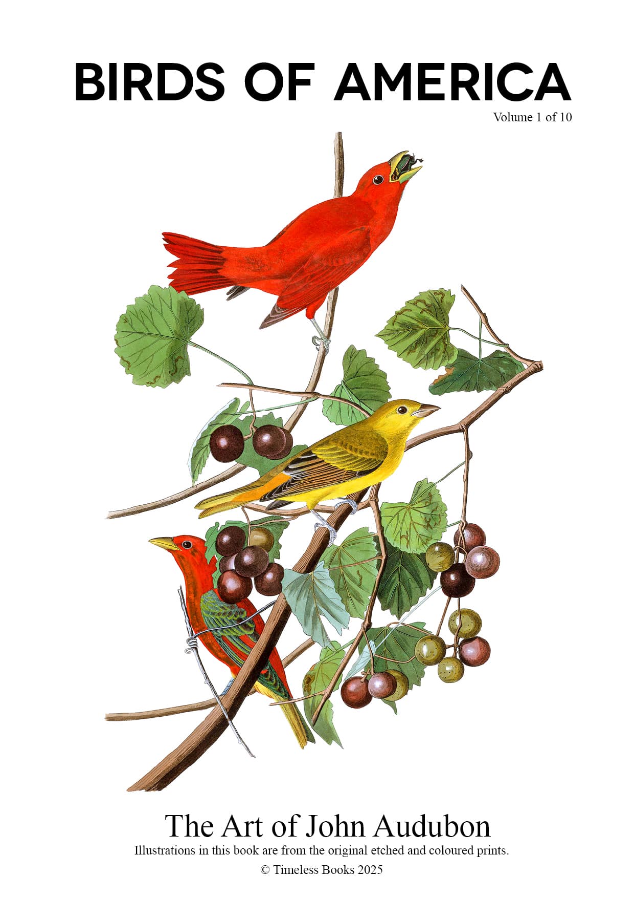 The Birds of America - John James Audubon - Volume 1 of 10 The Birds of America – John James Audubon – Volume 1 of 10