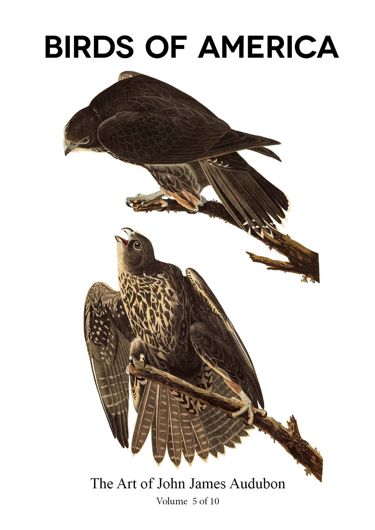 The Birds of America - John James Audubon - Volume 5 of 10 The Birds of America – John James Audubon – Volume 5 of 10