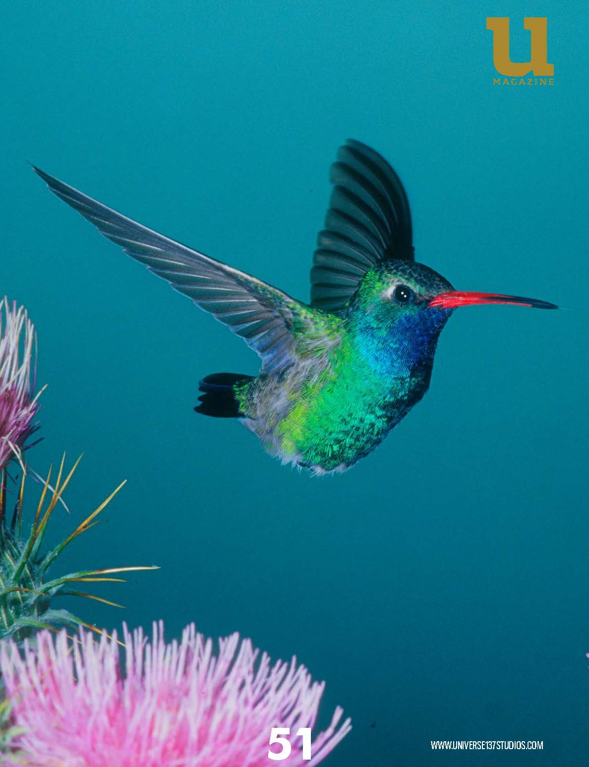 Unique Magazine - June 2021 - Wild Life