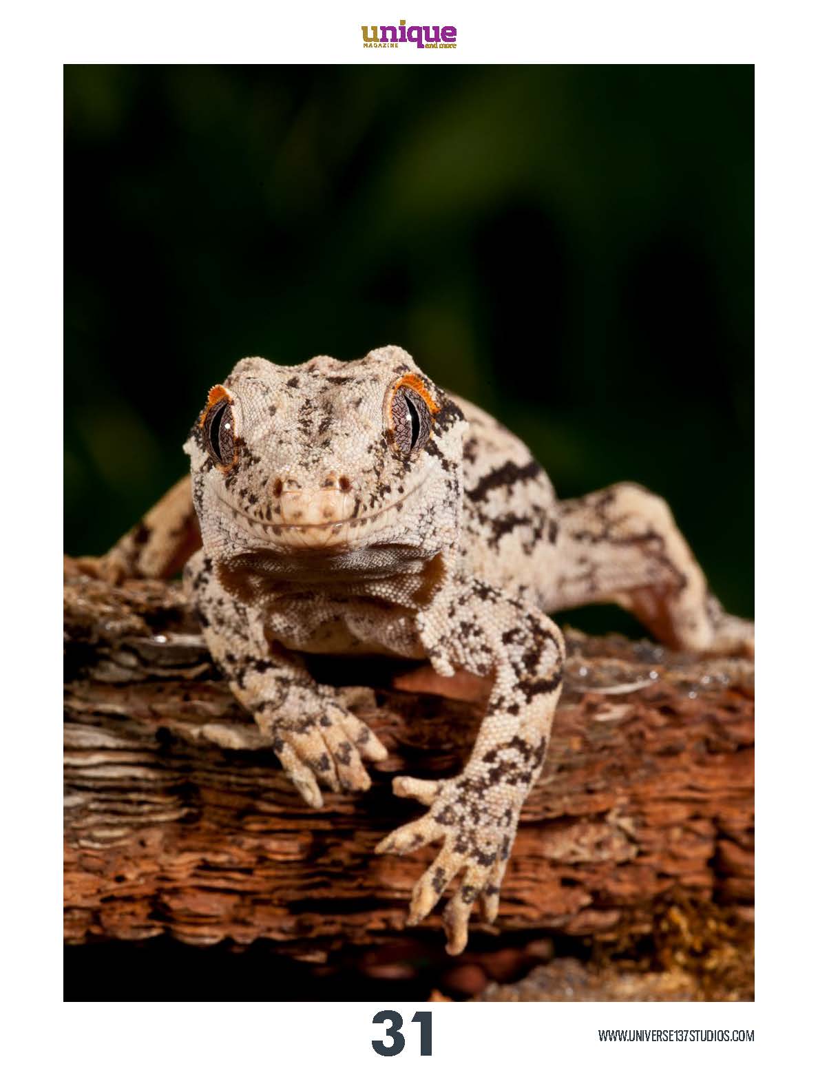 Unique Magazine - June 2021 - Wild Life