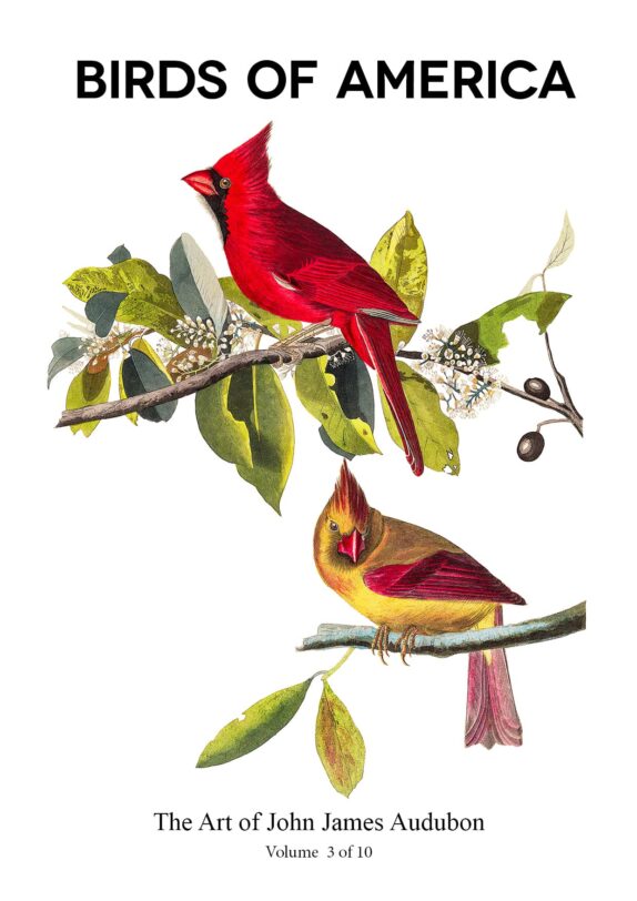 The Birds of America – John James Audubon – Volume 3 of 10 