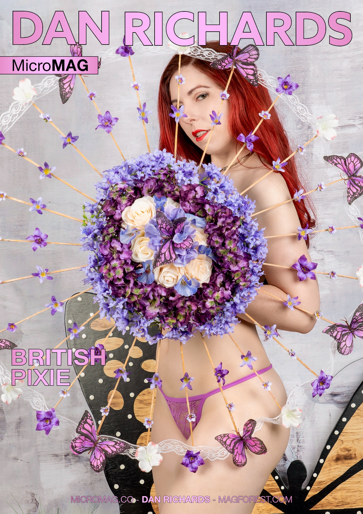 Dan Richards MicroMAG – British Pixie download