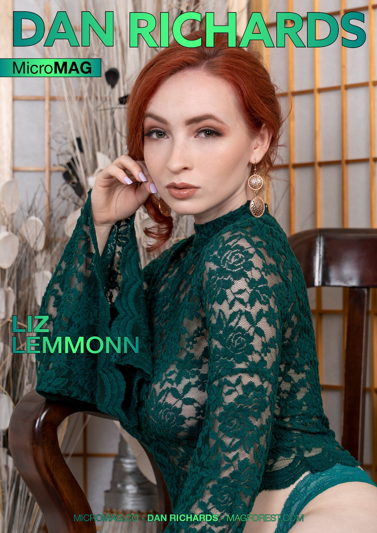 Dan Richards MicroMAG – Liz Lemmonn – Issue 5 download