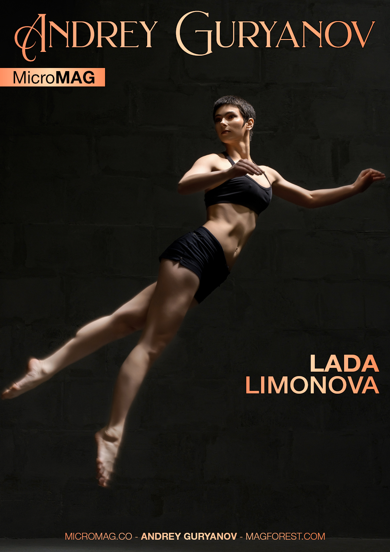 Andrey Guryanov MicroMAG – Lada Limonova – Issue 1 download
