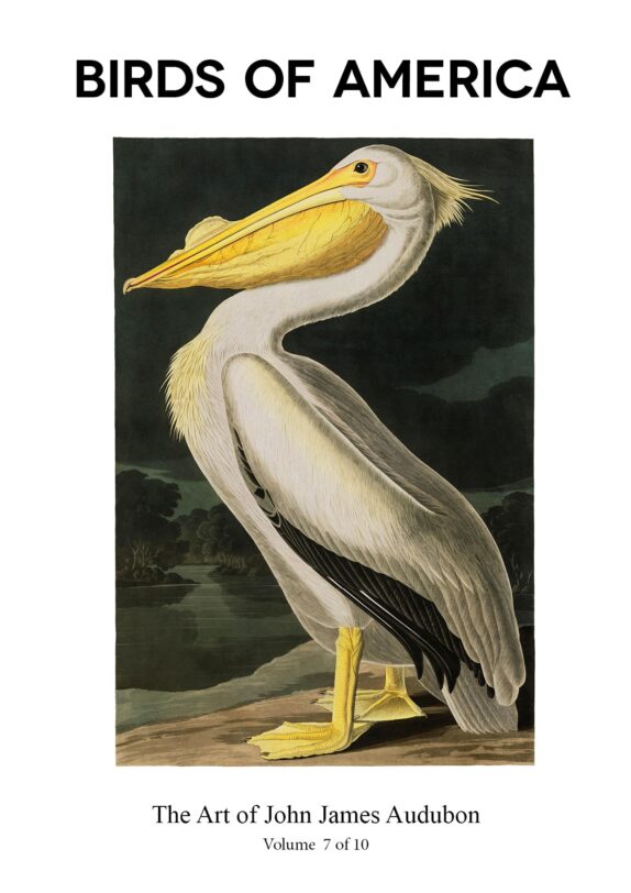The Birds of America – John James Audubon – Volume 7 of 10 