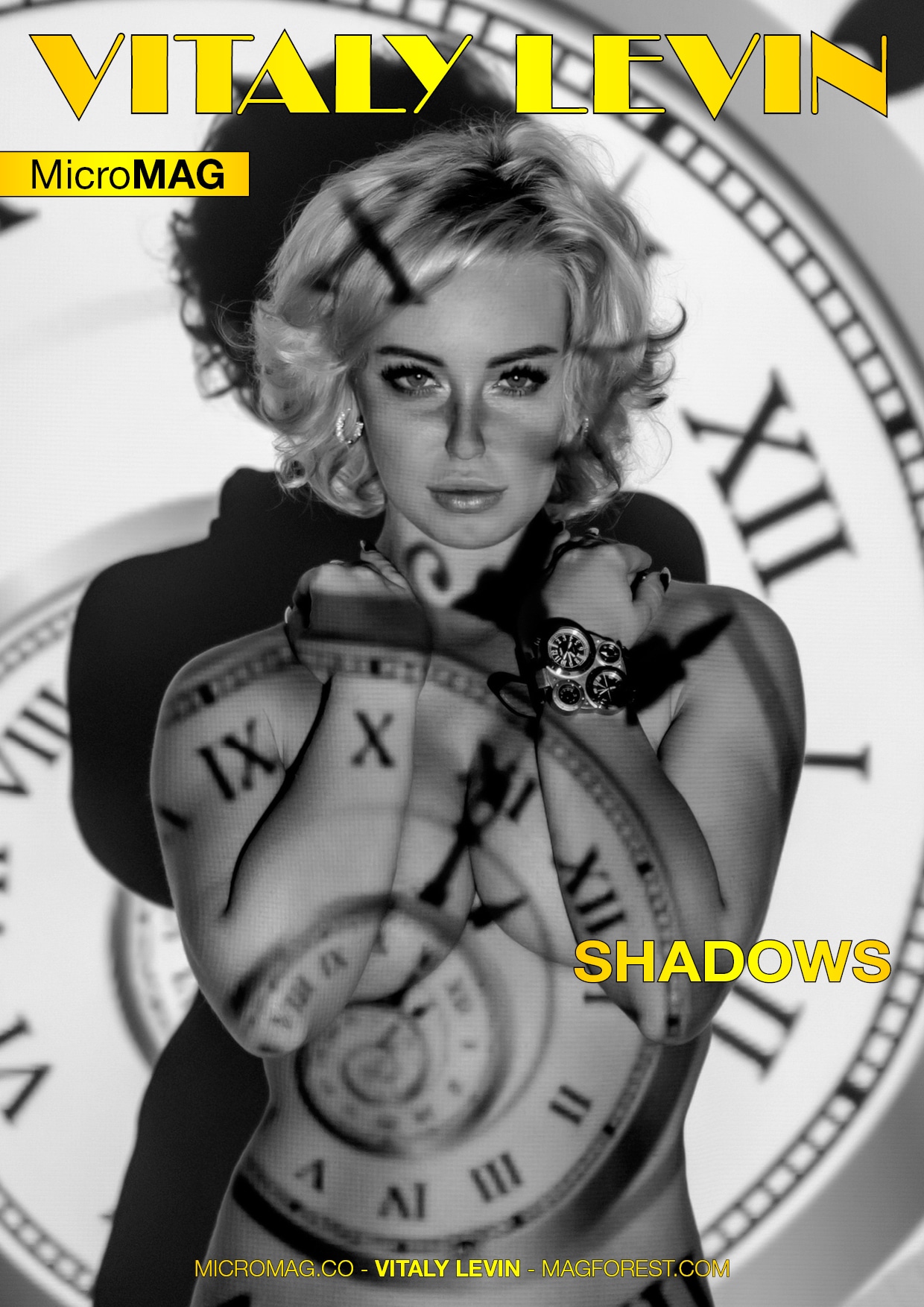 Vitaly Levin MicroMAG – Shadows download