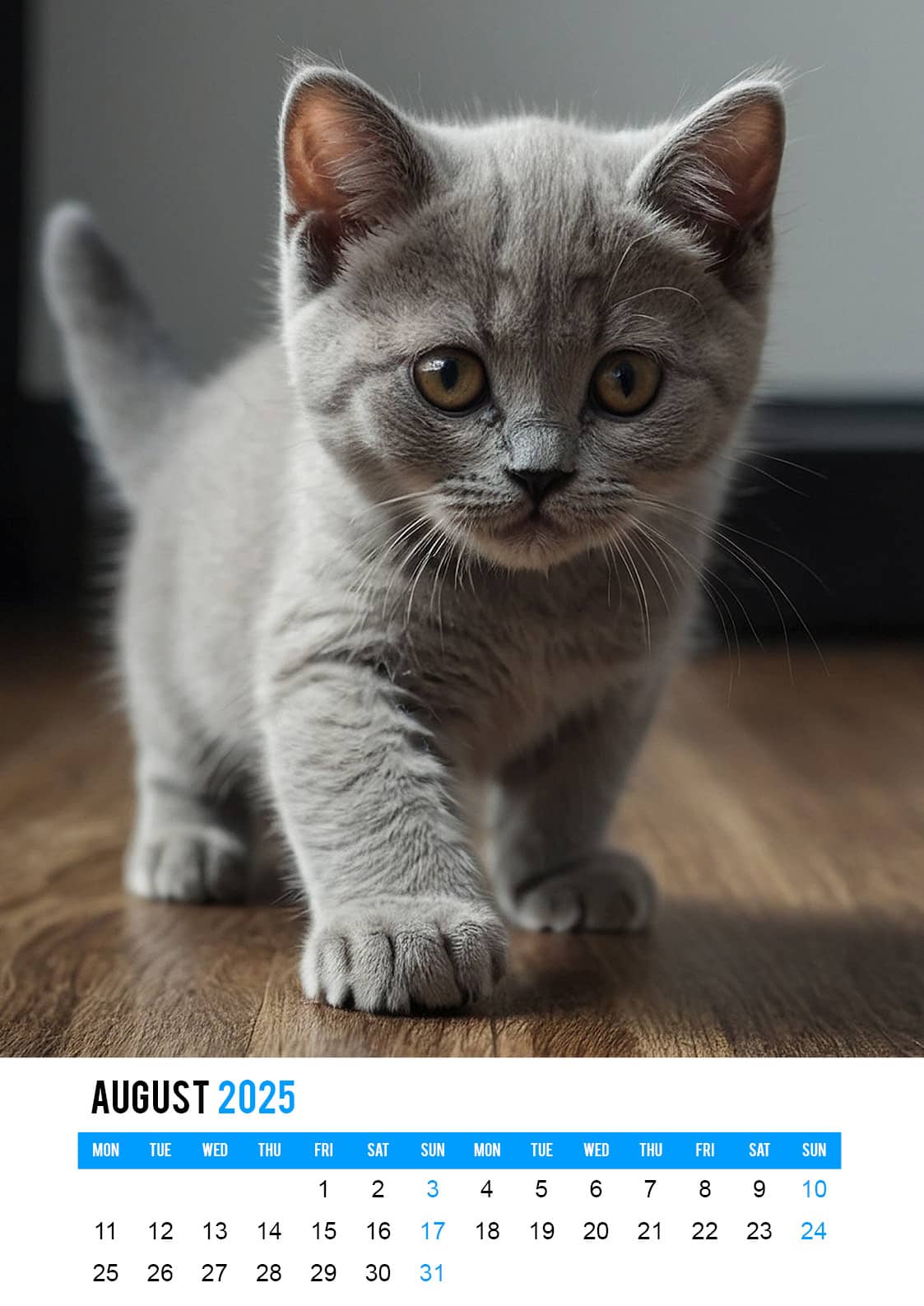 Cute Kittens - 2025 Calendar
