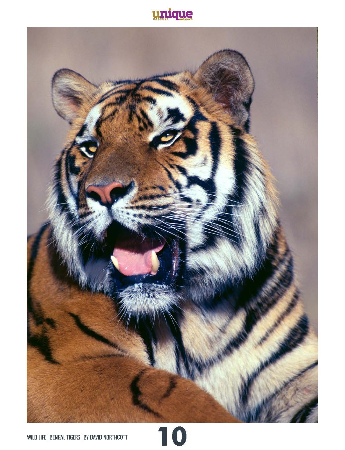 Unique Magazine - June 2021 - Wild Life