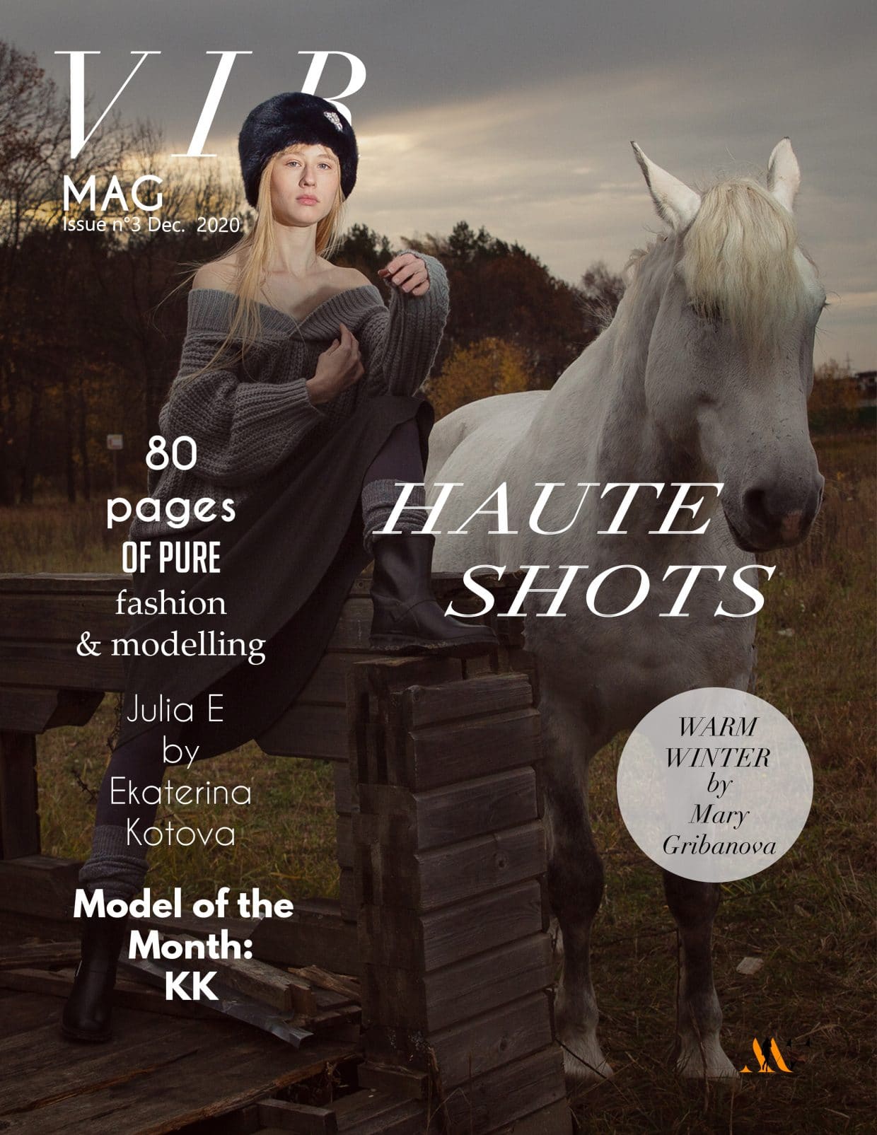 Vir Mag – Issue 3 – December 2020 