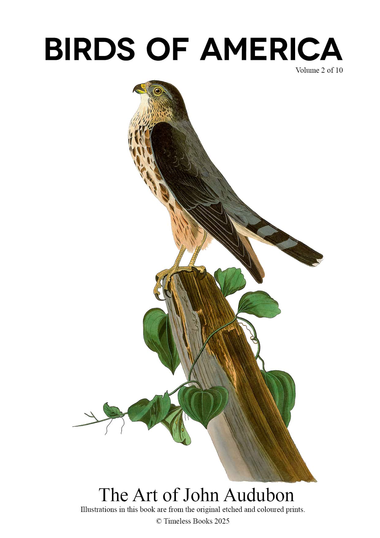 The Birds of America - John James Audubon - Volume 2 of 10 The Birds of America – John James Audubon – Volume 2 of 10